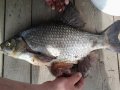 20140511_103319.jpg
