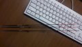 20190907_104506.jpg