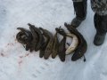 IMG_0638.JPG