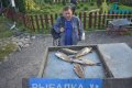DSC_0073.jpg