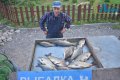 DSC_0134.jpg