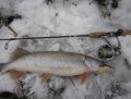 IMG_3086.jpg