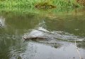 DSC06627.jpg