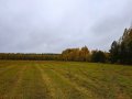 IMG_20191001_151712.jpg