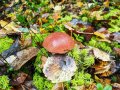 IMG_20191001_152206.jpg
