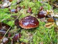 IMG_20191001_152118.jpg