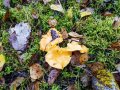IMG_20191001_151913.jpg
