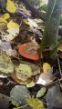 20191001_115435.jpg