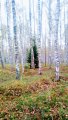 IMG_20190926_091359.jpg