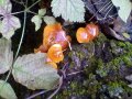 IMG_20191002_123332.jpg