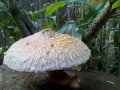 IMG_20191002_123342.jpg