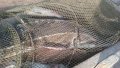 20191002_153720.jpg