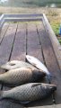 IMG-20191002-WA0039.jpg