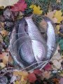 IMG-20191002-WA0051.jpg