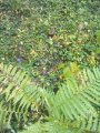 IMG-20191002-WA0017.jpg
