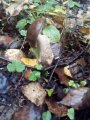 IMG-20191002-WA0022.jpg