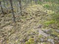 IMG_20191002_180652.jpg