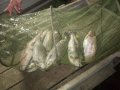 IMG-20191003-WA0038.jpg