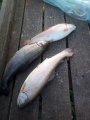 IMG-20191003-WA0033.jpg
