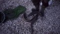 IMG-20191003-WA0027.jpg
