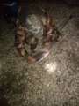 IMG-20191003-WA0054.jpg