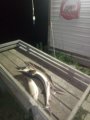 IMG-20191003-WA0049.jpg