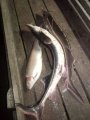 IMG-20191003-WA0048.jpg