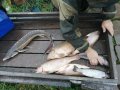 IMG-20191004-WA0018.jpg