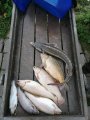 IMG-20191004-WA0016.jpg