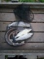 IMG-20191004-WA0044.jpg