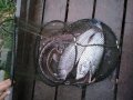 IMG-20191004-WA0042.jpg