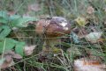 DSC02208.JPG