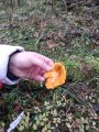 IMG_20191005_144850.jpg