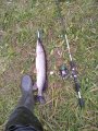 IMG_20191006_170313.jpg