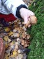 IMG_20191007_162713.jpg