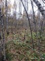 IMG_20191007_151930.jpg