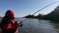 DSC_1772.JPG