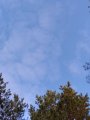 IMG_20191005_105221.jpg
