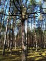 IMG_20191005_113125.jpg
