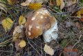 DSC02237.JPG