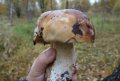 DSC02238.JPG