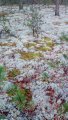 IMG_20191003_084252.jpg