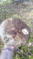 IMG_20191003_140655.jpg