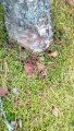 IMG_20191003_140859.jpg
