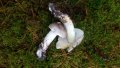 IMG_20191005_162659.jpg