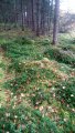 IMG_20191005_164629.jpg