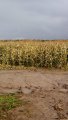 IMG_20191005_131228.jpg