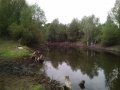IMG_20190810_143135.jpg