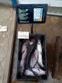 IMG_20191010_162942.jpg