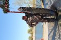 IMG_4184.jpg